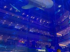 -成都浩海立方海洋公园