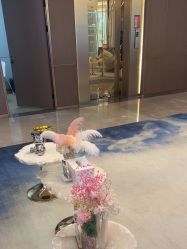 -深圳米兰柏羽医疗美容医院