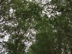 -长春公园(普阳街道)