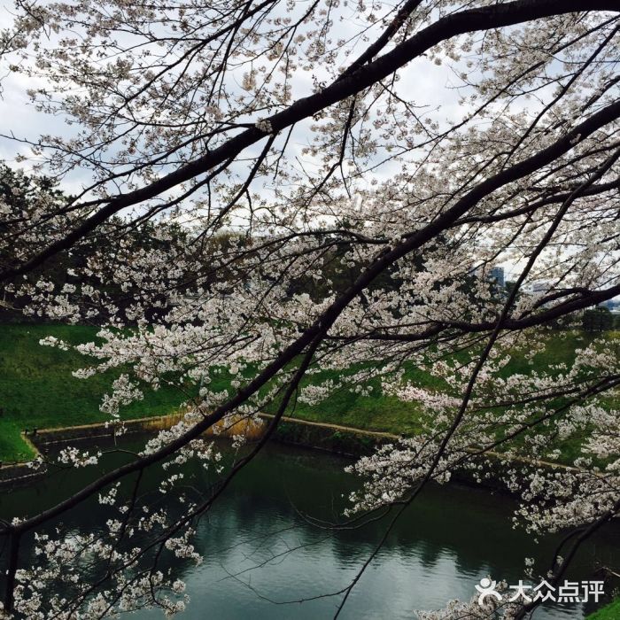 北之丸公园-图片-东京景点-大众点评网
