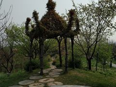 -南通洲际绿博园