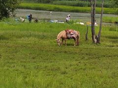 -泸沽湖国家级风景名胜区走婚桥
