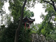 -莲湖公园