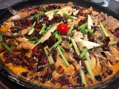 -老板恋上鱼(恒隆广场店)