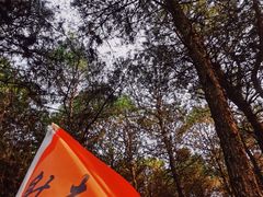 -客乐得玉峰山房车营地