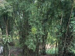 -明仕田园