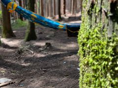 -武陵山森林公园