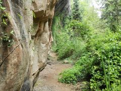 -艾溪湖湿地公园