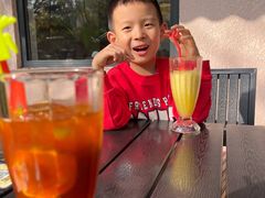 -三里屯东五街银杏大道