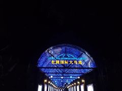 -广州长隆国际大马戏