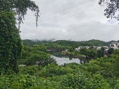 -大鄣山卧龙谷景区