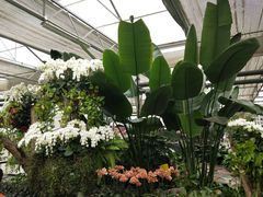 -兰陵国家农业公园