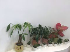 -艾薯夫妇Aysh(福田星河COCOPark店)