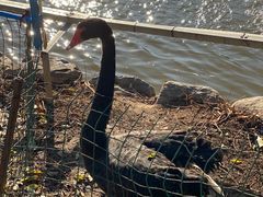 -春晖园度假酒店温泉