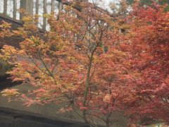 -永安龟山公园