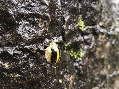 -山王坪喀斯特国家生态公园