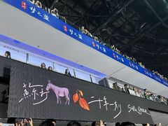 -梦之蓝青奥体育公园体育馆