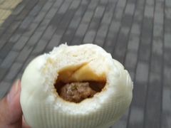 鲜肉-袁大头包子(光华路店)