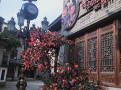 -龙潭水乡