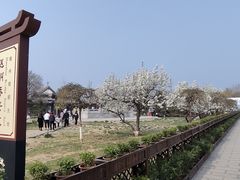 -赵州桥景区