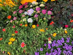 -人民公园(罗湖区)