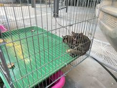 -华声天桥民俗文化园