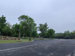 -盘龙城国家考古遗址公园