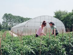 -太阳岛度假酒店