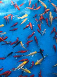 -萌宠亲子动物乐园(槐房万达店)