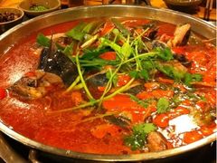 酸汤鱼-新凯里酸汤鱼(飞山街店)