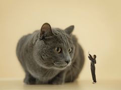 -中粮·祥云小镇