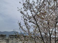 -台州府城(江南长城)