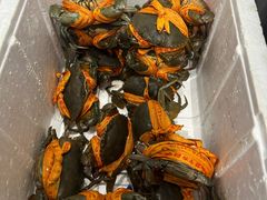 -杨记海鲜楼(三门黑金冠店)