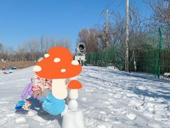 -1982农场