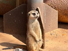 -昆明动物园