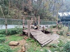 -黔灵山公园
