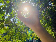 -上野公园花园稻荷神社(忍岡稲荷神社)