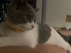 -爱诺耐芙动物医院(万博店)