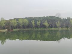 -昆山城市生态森林公园