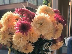 -后海16号·北京私房菜