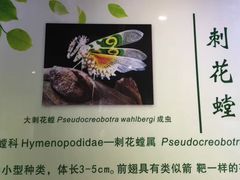 -上海昆虫博物馆