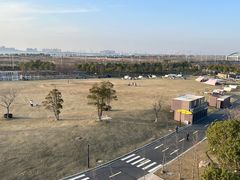 -春花秋色城市公园