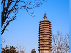 -西海子公园