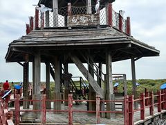 -北海金海湾红树林生态旅游区