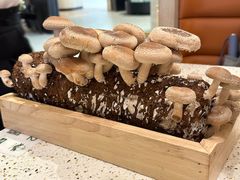 -椰子营·椰子鸡火锅(万象里店)