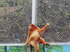 -西安秦岭野生动物园