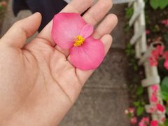 -黑龙江省森林植物园