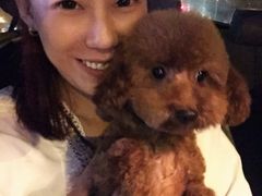 -瑞派福兴宠物医院犬猫全科·骨科·中西医结合(河东店)