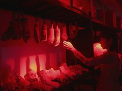 -【朵云轩艺术中心】博洛尼亚插画展·中国巡展·上海站
