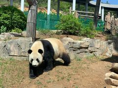 -大连森林动物园